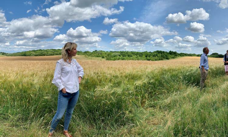 Bidwells launches landmark 173-acre Biodiversity Net Gain scheme 